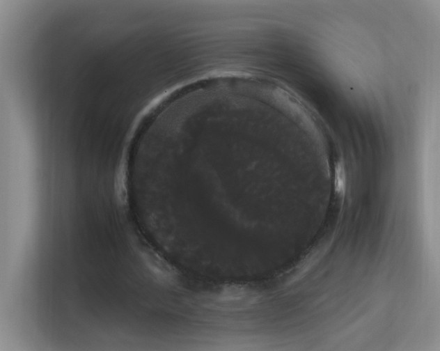 X0000113850388200909241252