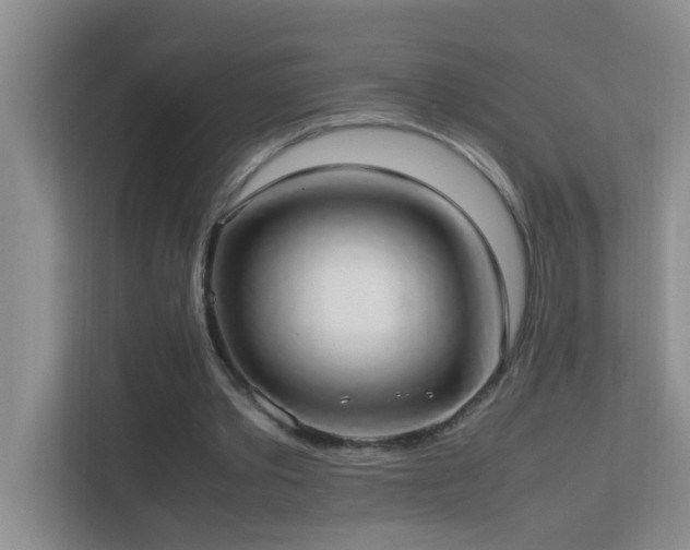 X0000113850389200909241252