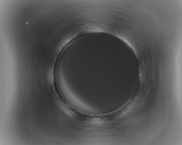 X0000113850390200909241252