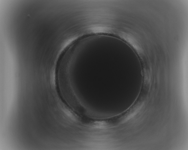 X0000113850391200909241252