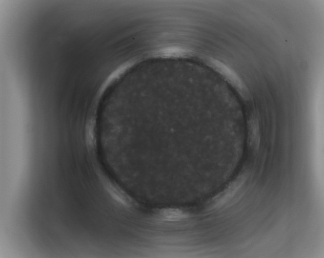 X0000113850392200909241252