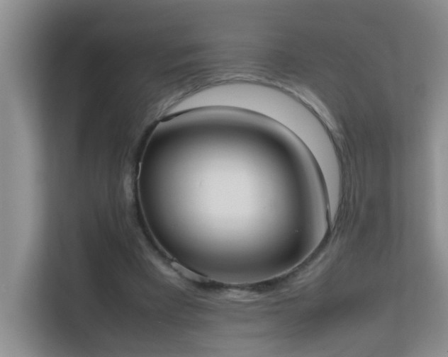 X0000113850393200909241252