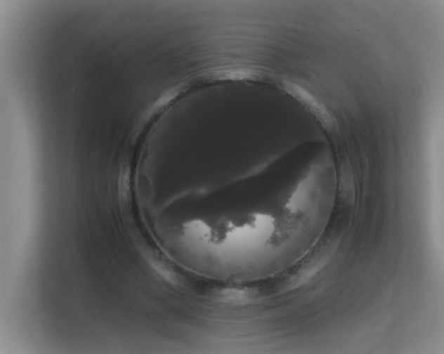 X0000113850394200909241252