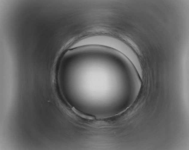 X0000113850399200909241252