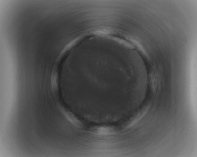 X0000113850400200909241252