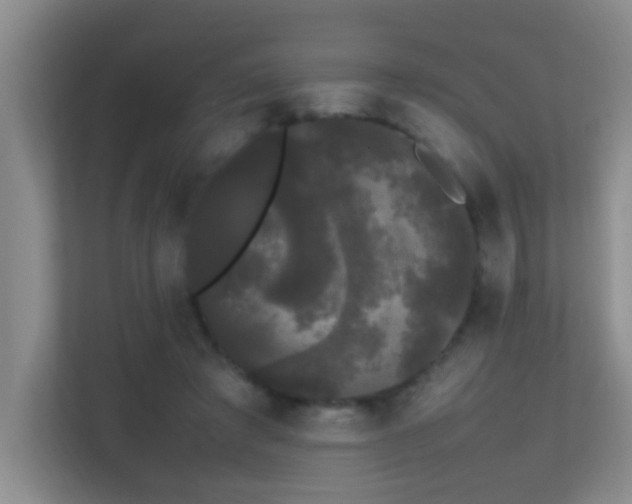 X0000113850401200909241252