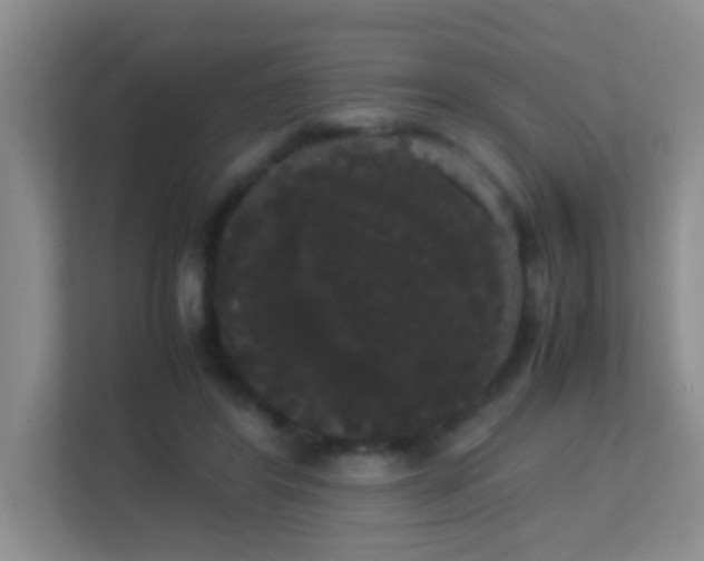 X0000113850404200909241252