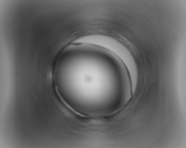 X0000113850405200909241252