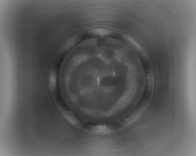 X0000113850406200909241252