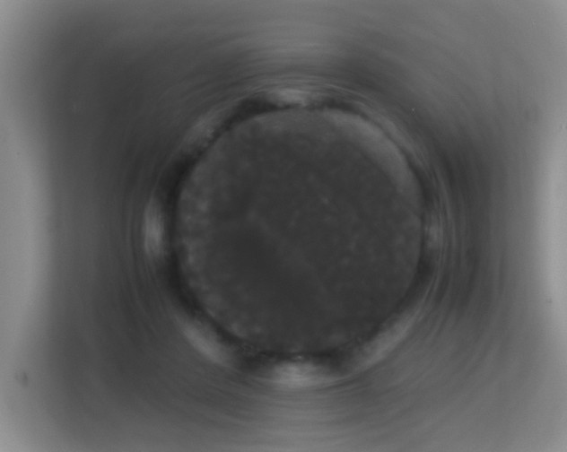 X0000113850408200909241252