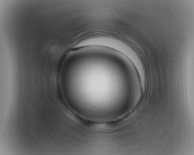 X0000113850409200909241251