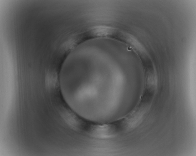 X0000113850411200909241251