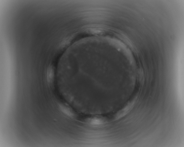 X0000113850412200909241251