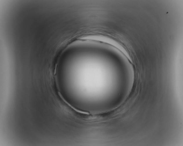 X0000113850415200909241251