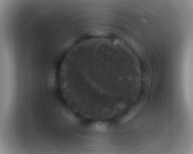 X0000113850416200909241251