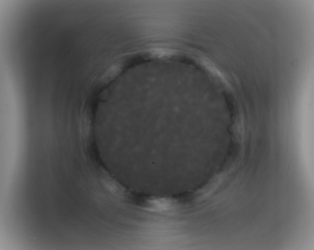 X0000113850417200909241251