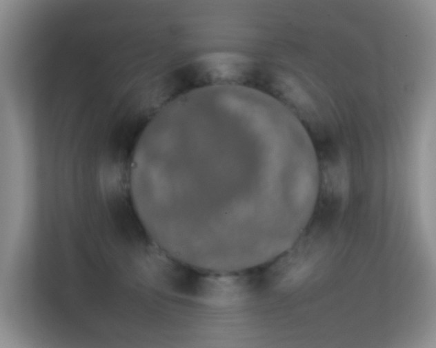 X0000113850419200909241251