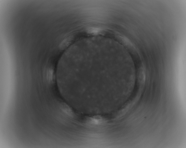 X0000113850420200909241251