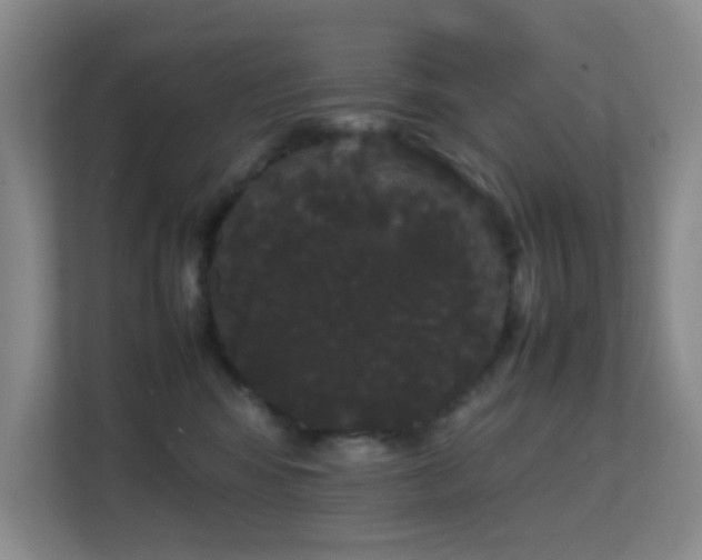 X0000113850424200909241251