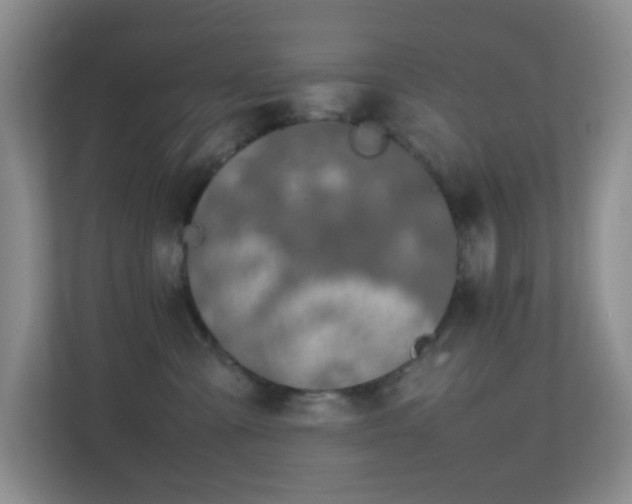 X0000113850427200909241251