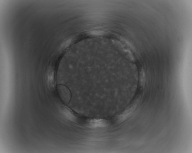 X0000113850428200909241251