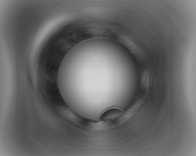 X0000113850430200909241251