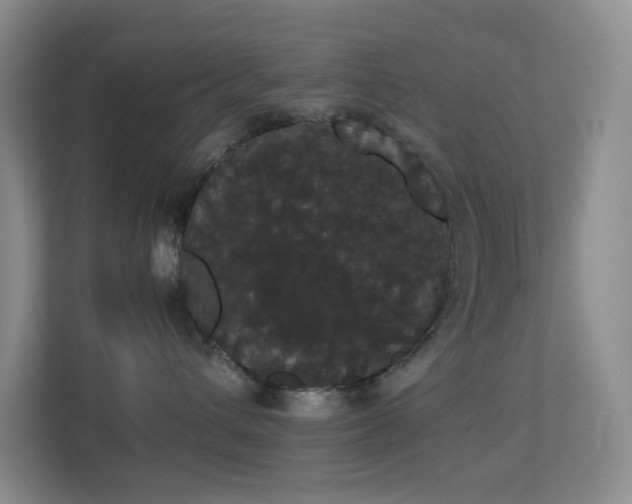 X0000113850432200909241251