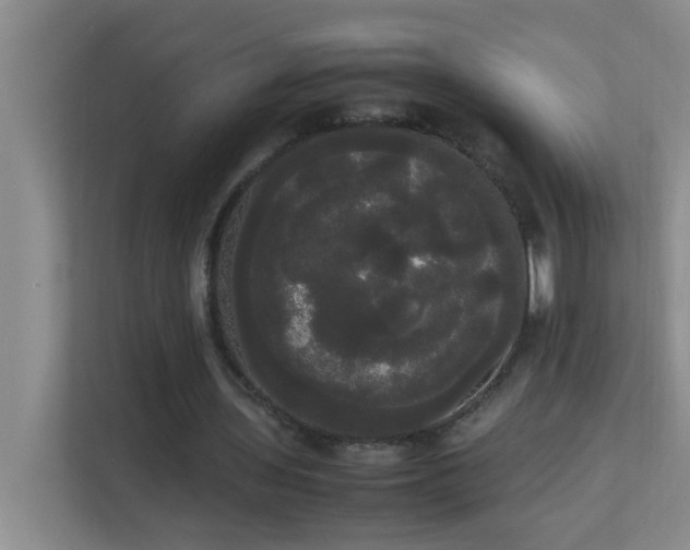 X0000113850435200909241251