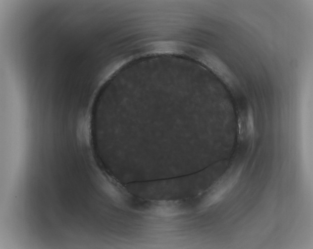 X0000113850436200909241251