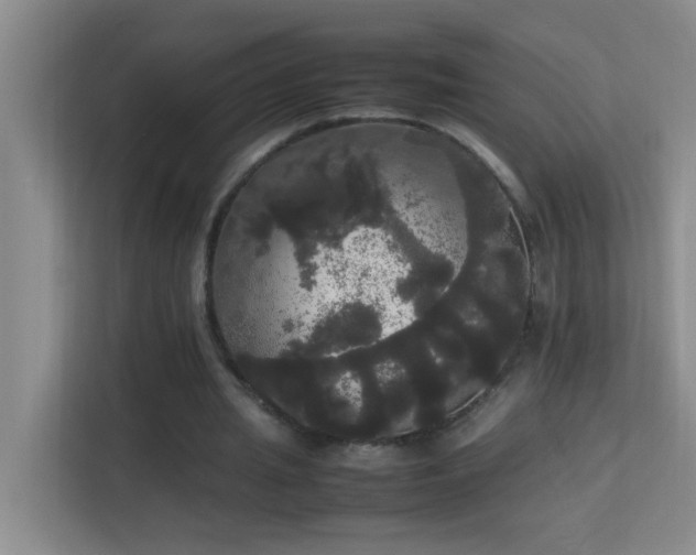 X0000113850437200909241251