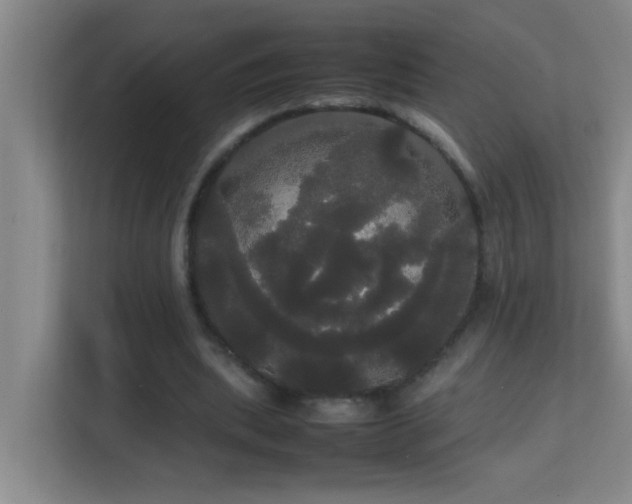 X0000113850439200909241251