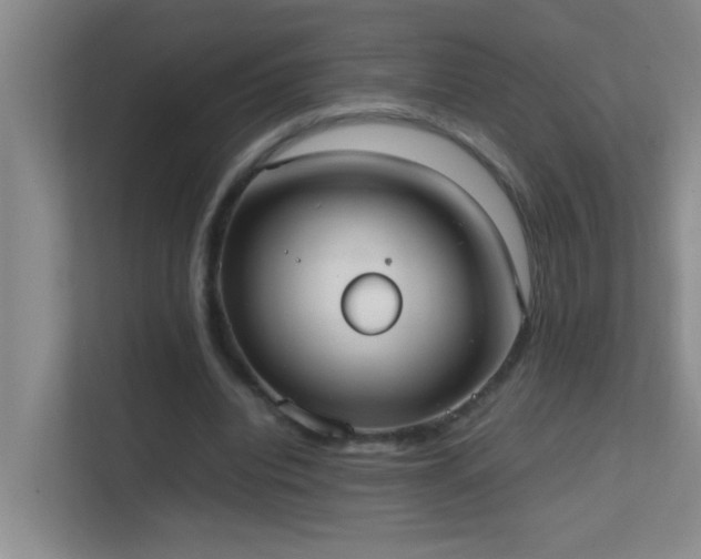 X0000113850440200909241251