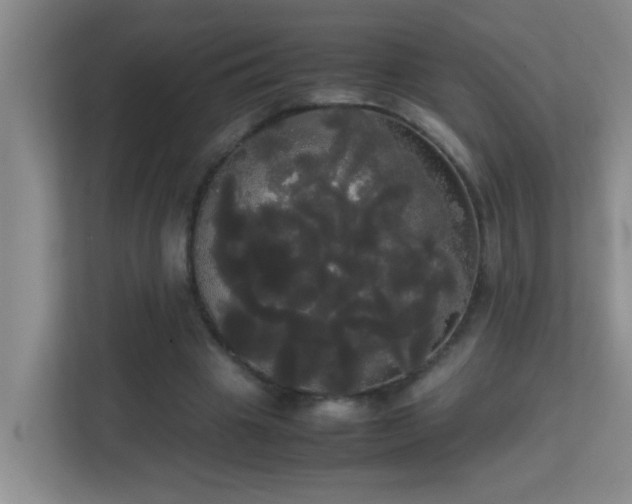 X0000113850441200909241251