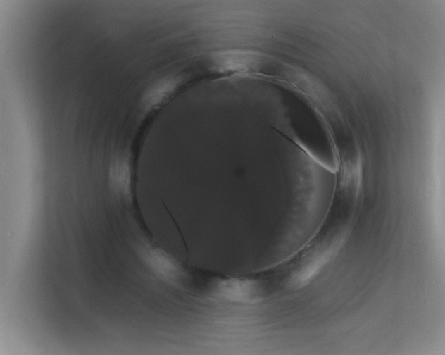 X0000113850444200909241251