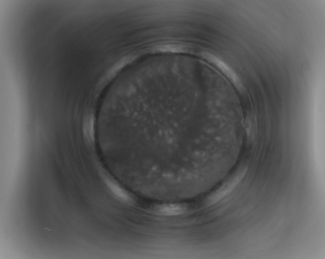 X0000113850445200909241251