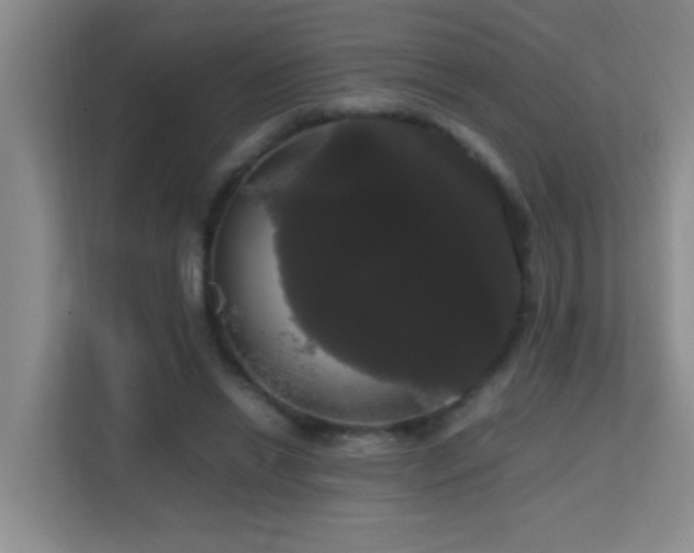 X0000113850446200909241251