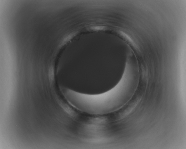 X0000113850447200909241251