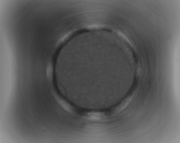 X0000113850448200909241251