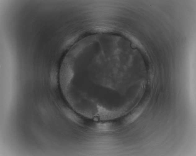 X0000113850450200909241251