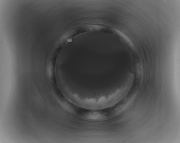 X0000113850451200909241251