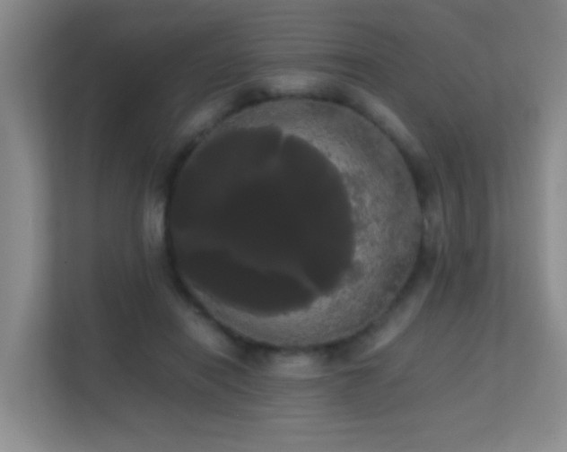 X0000113850454200909241251