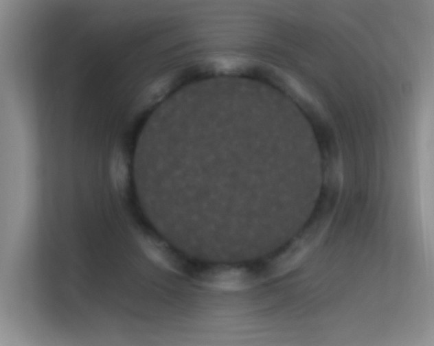 X0000113850456200909241251