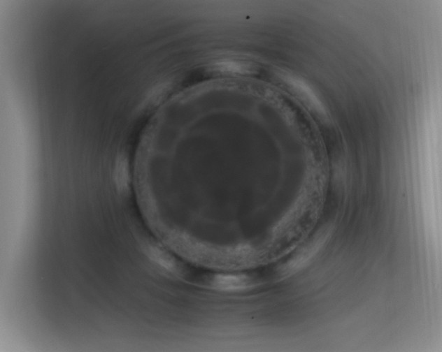 X0000113850457200909241251