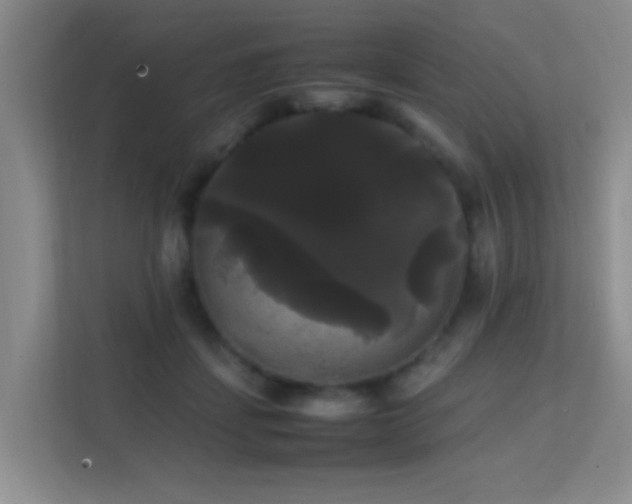 X0000113850459200909241251