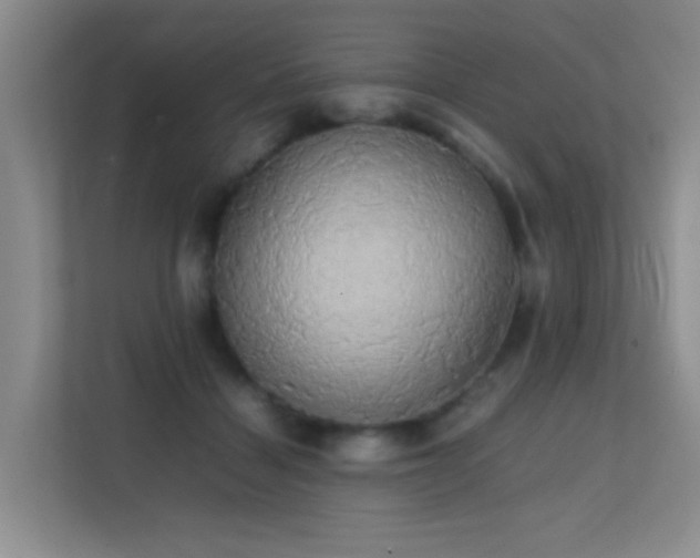 X0000113850460200909241251