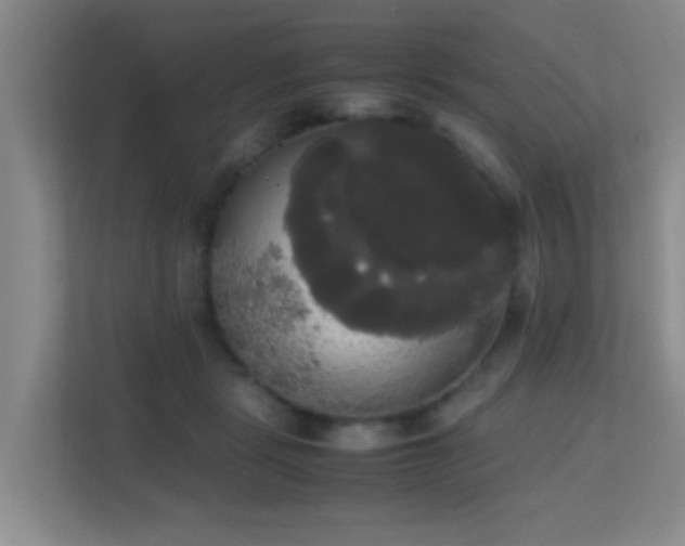 X0000113850461200909241251