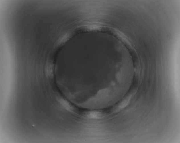 X0000113850462200909241251