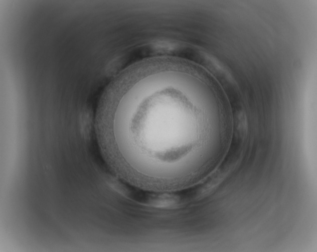 X0000113850463200909241251