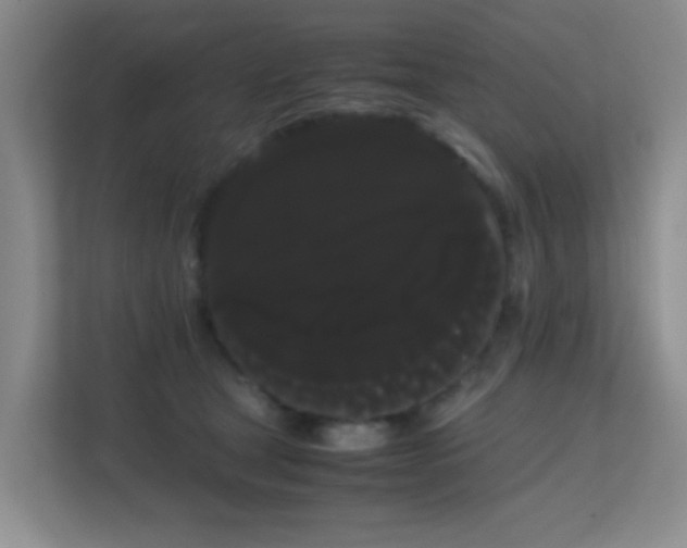 X0000113850465200909241251