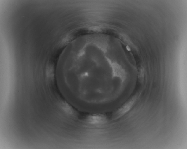 X0000113850466200909241251